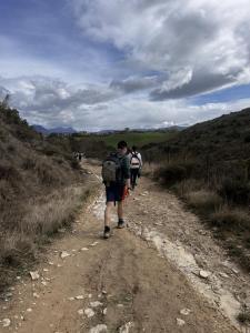 IMG 9665