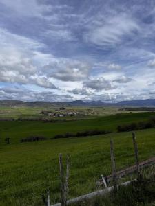 IMG 9675