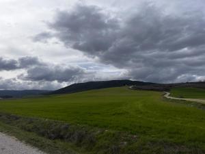 IMG 9681