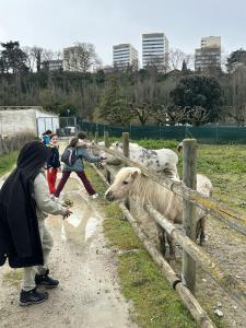 IMG 9481
