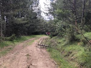 IMG 1473