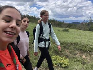 IMG 1481